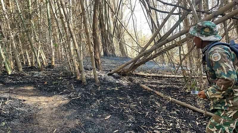 Forest fire in Phetchabun destroys 180 rai, suspects arrested