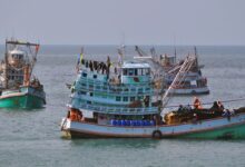 Net gains: Fishing ban to boost marine life in Thailand