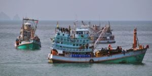 Net gains: Fishing ban to boost marine life in Thailand