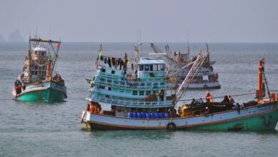 Net gains: Fishing ban to boost marine life in Thailand