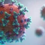 New coronavirus HKU5-CoV-2 identified, no human infections reported