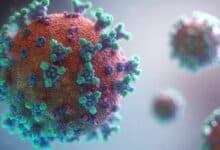 New coronavirus HKU5-CoV-2 identified, no human infections reported