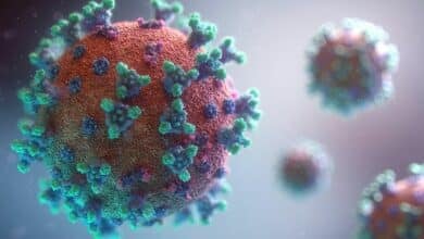 New coronavirus HKU5-CoV-2 identified, no human infections reported