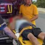 Stinging setback: Man knocked out after brutal hornet swarm attack | Thaiger