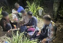 Five Myanmar nationals caught crossing into Thailand illegally