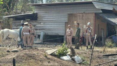 Family arrested after illegal land occupation in Sattahip