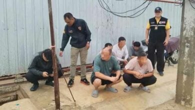 Eight Chinese nationals arrested for illegal work in Phuket