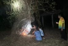 Villagers seek lottery luck from ancient neem tree on holy day