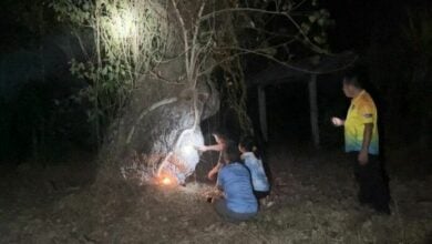 Villagers seek lottery luck from ancient neem tree on holy day