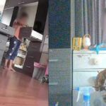 Maid to misbehave: Cleaner caught red-handed in CCTV sting | Thaiger