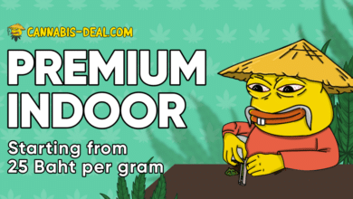 Premium cannabis in Thailand now available at groundbreaking prices