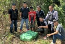 Thai police seize 400,000 meth pills, capture Laotian suspect