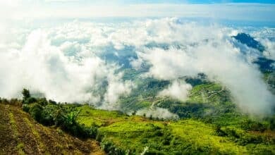 Cold air from China brings cool weather and rain to Thailand