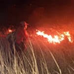 Firefighters battle wildfire at Laem Krathing, Phuket | Thaiger