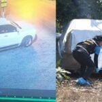 Deadly mystery: Three bodies found hidden in abandoned pickup | Thaiger