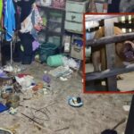 Unleashed pitbull mauls young girl in terrifying attack in Thailand | Thaiger