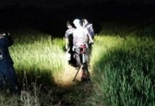 Woman’s body found strangled in Thai paddy field