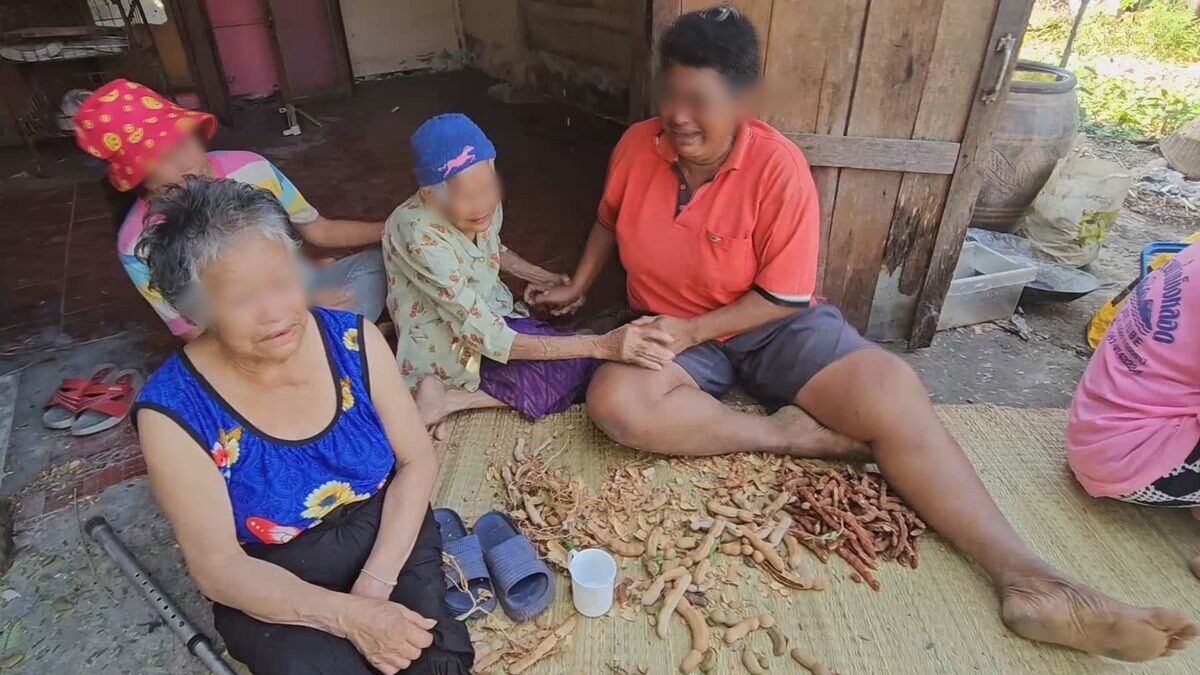 Thai man dies falling from tamarind tree in Udon Thani | News by Thaiger