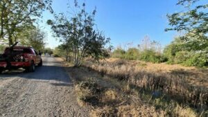 Teen fugitives caught in sugarcane field after detention escape