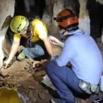 Ancient hyena fossils found in Krabi cave reveal savannah past