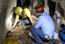 Ancient hyena fossils found in Krabi cave reveal savannah past | Thaiger