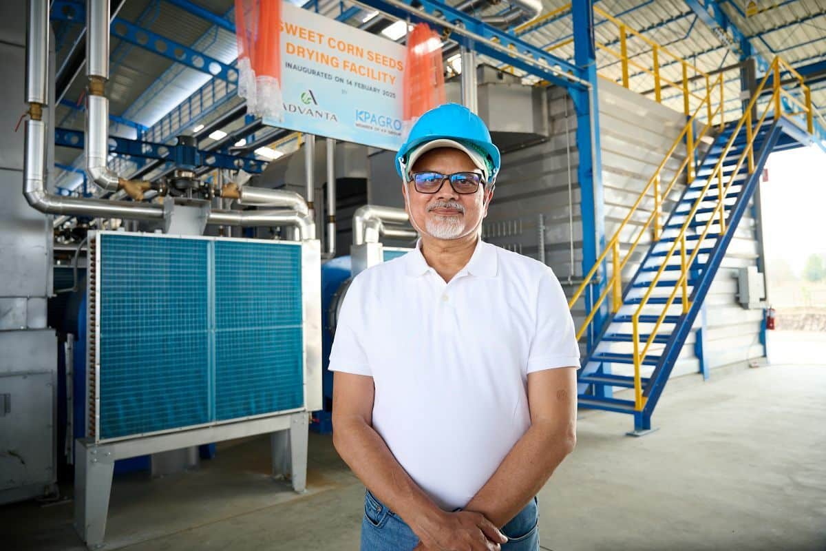 sweet corn seed production facility