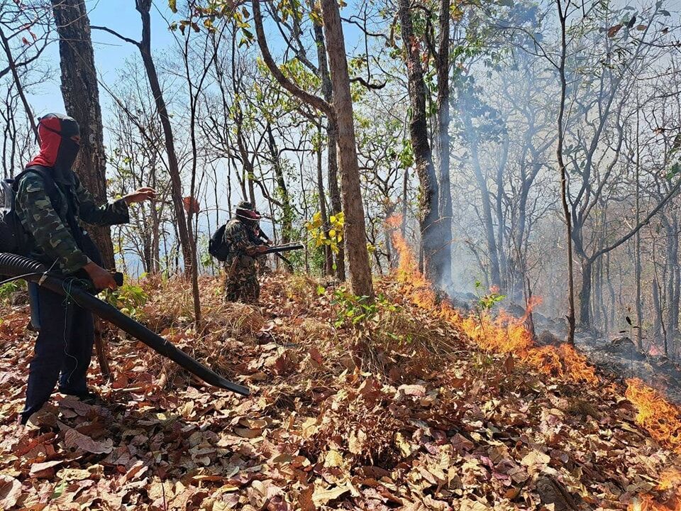 Wildfires force indefinite closure of North Thailand park | News by Thaiger