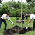 Branching out: Bangkok governor vows to plant over a million trees