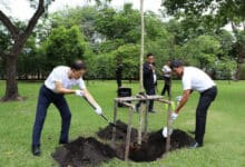 Branching out: Bangkok governor vows to plant over a million trees