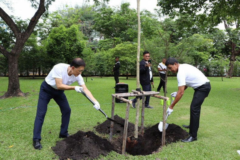 Branching out: Bangkok governor vows to plant over a million trees