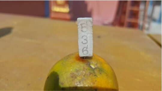 Jackpot joyride: Thai lottery queen buys community ambulance | News by Thaiger