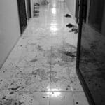 Violent altercation in Chon Buri: Man attacks ex-wife and partner | Thaiger