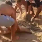 Foreign beachgoers, Thai lifeguard return caught ray to Phuket sea (video) | Thaiger
