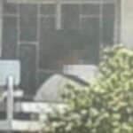 Heartbroken Thai woman directs men from dating app to neighbour&#8217;s homes | Thaiger