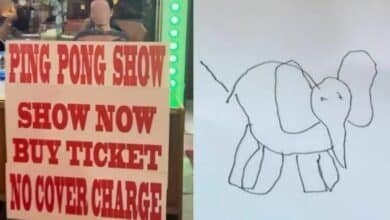 Bangkok ping pong show art goes viral, raises funds for Phuket elephants