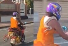 Holy serpent! Monk spotted cruising Pattaya with a snake