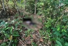 Missing Thai man found dead on Phuket mountain
