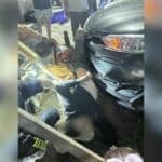 Russian motorcyclist seriously injured after allegedly running red light