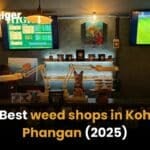 Best weed shops in Koh Phangan [2025] | Thaiger