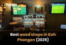 Best weed shops in Koh Phangan [2025] | Thaiger