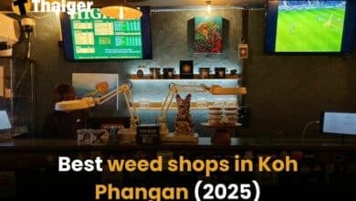 Best weed shops in Koh Phangan [2025] | Thaiger