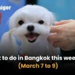 What to do in Bangkok this weekend (March 7 to 9) | Thaiger