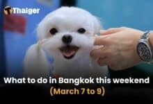 What to do in Bangkok this weekend (March 7 to 9)