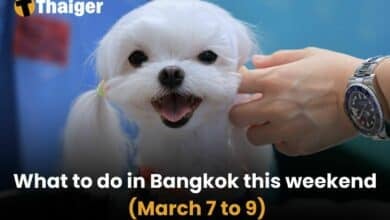 What to do in Bangkok this weekend (March 7 to 9) | Thaiger