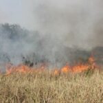 Thailand battles PM 2.5 with strict anti-burning measures | Thaiger