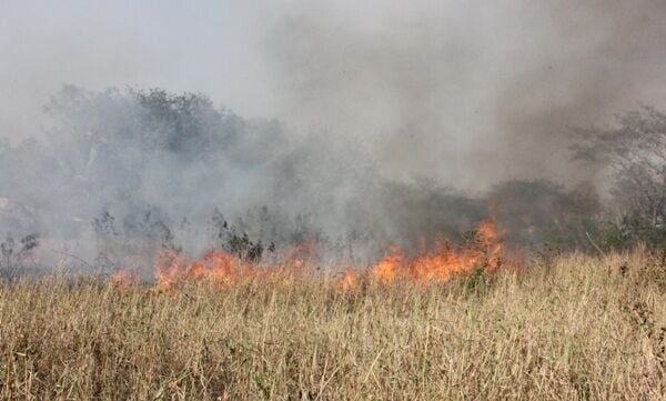 Thailand battles PM 2.5 with strict anti-burning measures