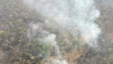 Hazardous dust levels hit 43 Thai provinces in north and northeast