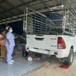 Pickup truck crash in Phatthalung kills woman, injures another