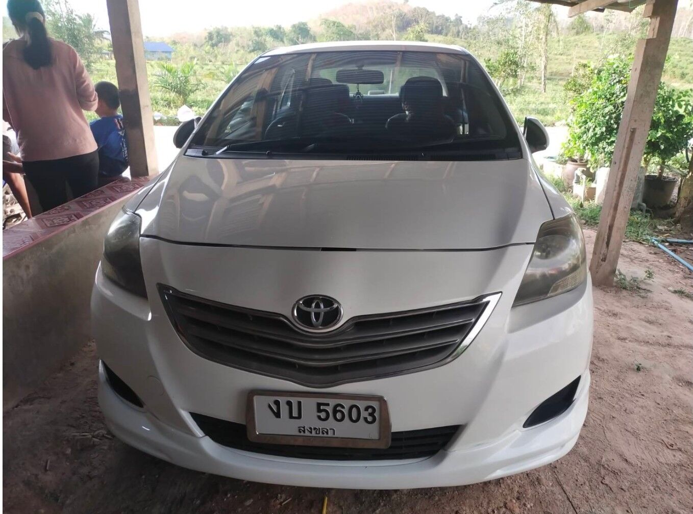 Lottery hiss-teria in Songkhla as king cobra slithers into family car | News by Thaiger