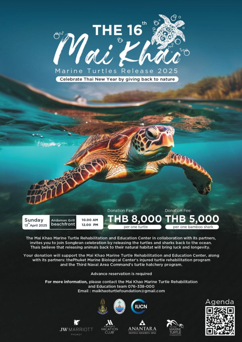 JW Marriott Phuket to host 16th annual Mai Khao Marine Turtle Release | News by Thaiger